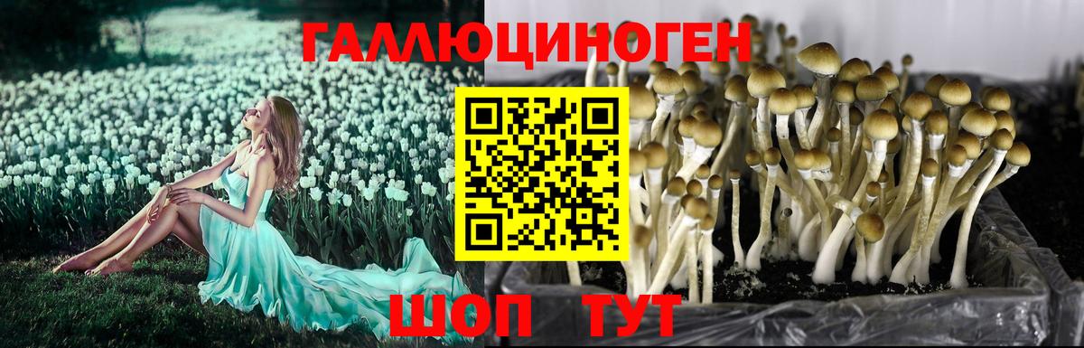 Псилоцибиновые грибы Magic Shrooms Сорочинск