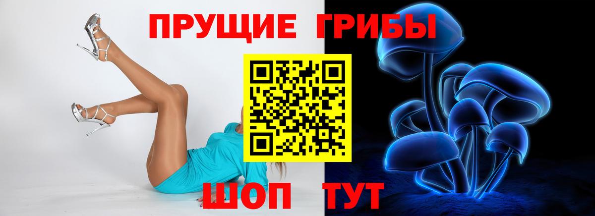 Псилоцибиновые грибы GOLDEN TEACHER  Вход с VPN  Сорочинск 